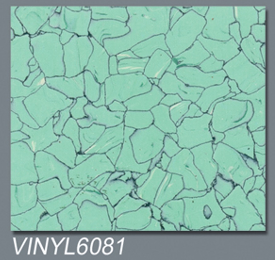 VINYL6081