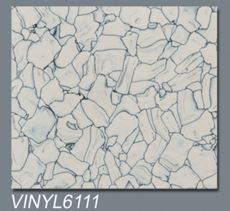 VINYL6111